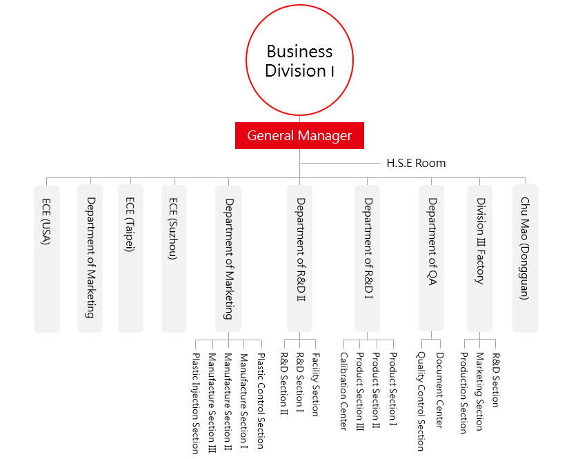 organization structure en